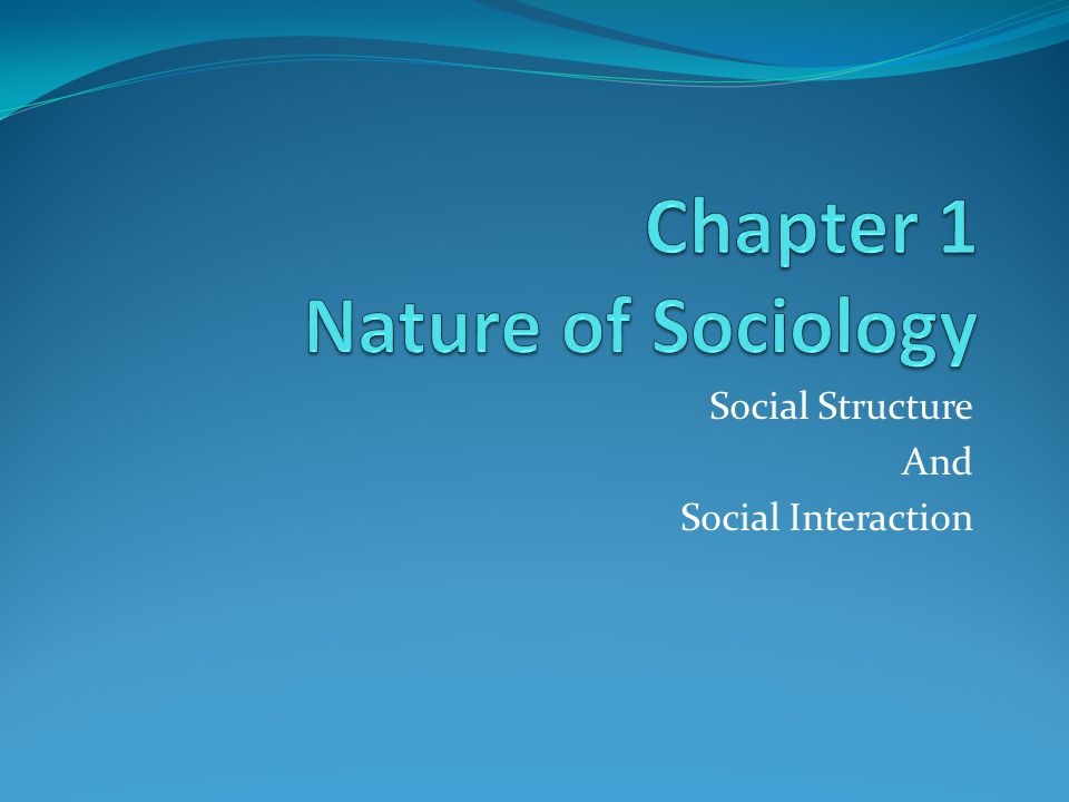 Social Structure And Social Interaction