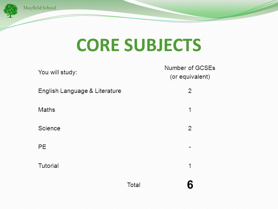 Mayfield School CORE SUBJECTS You will study: Number of GCSEs (or equivalent) English Language & Literature2 Maths1 Science2 PE- Tutorial1 Total 6