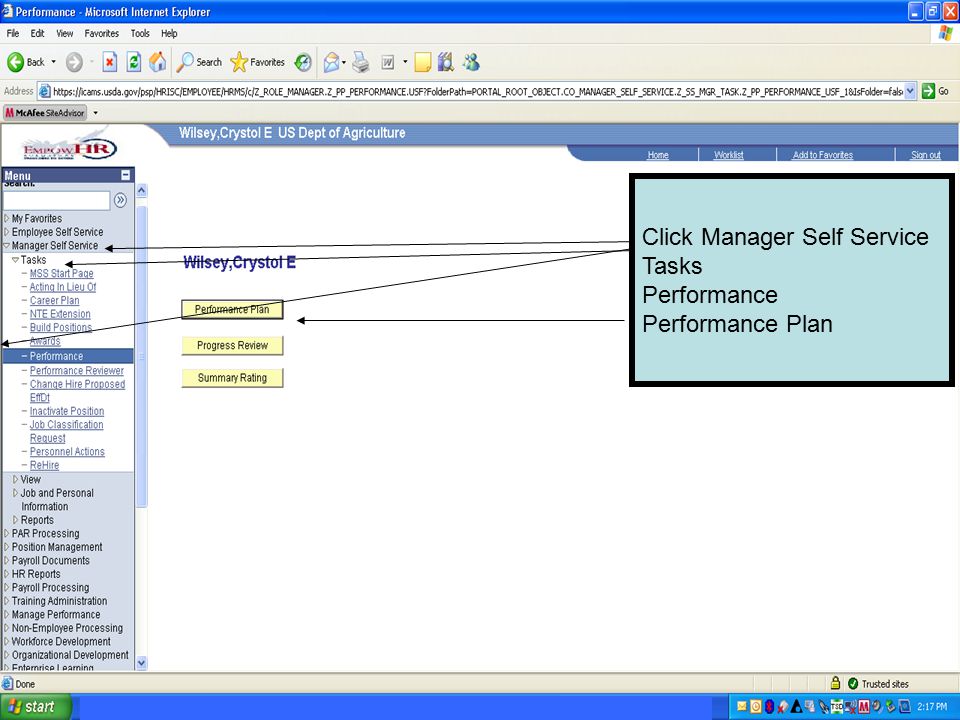 Click Manager Self Service Tasks Performance Performance Plan