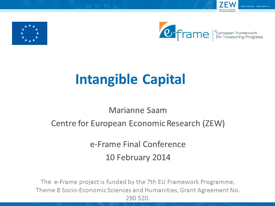 Intangible Capital Marianne Saam Centre for European Economic Research (ZEW) e-Frame Final Conference 10 February 2014 The e-Frame project is funded by the 7th EU Framework Programme, Theme 8 Socio-Economic Sciences and Humanities, Grant Agreement No.