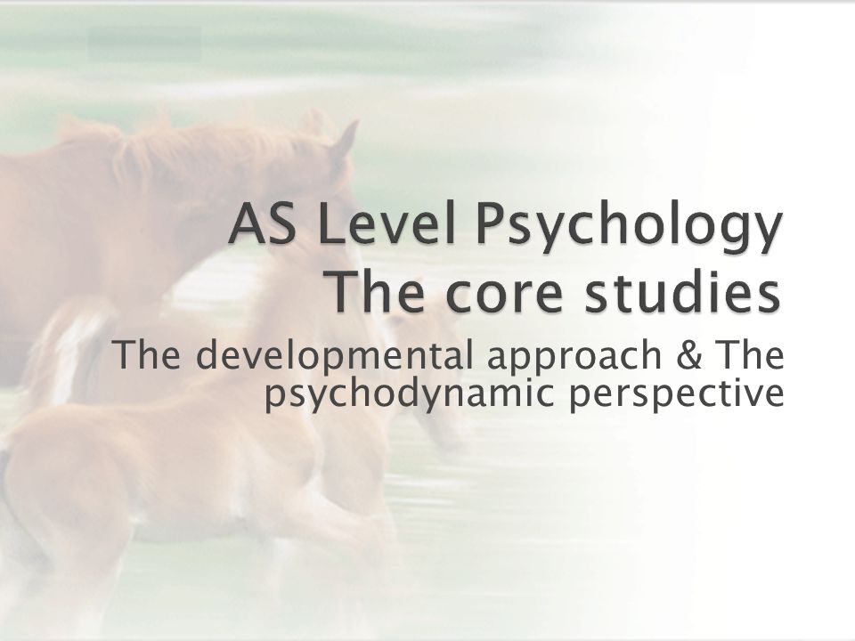 The developmental approach & The psychodynamic perspective