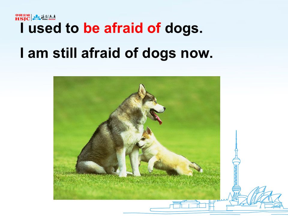 I used to be afraid of dogs. I am still afraid of dogs now.