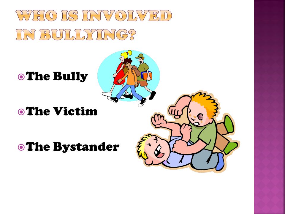  The Bully  The Victim  The Bystander