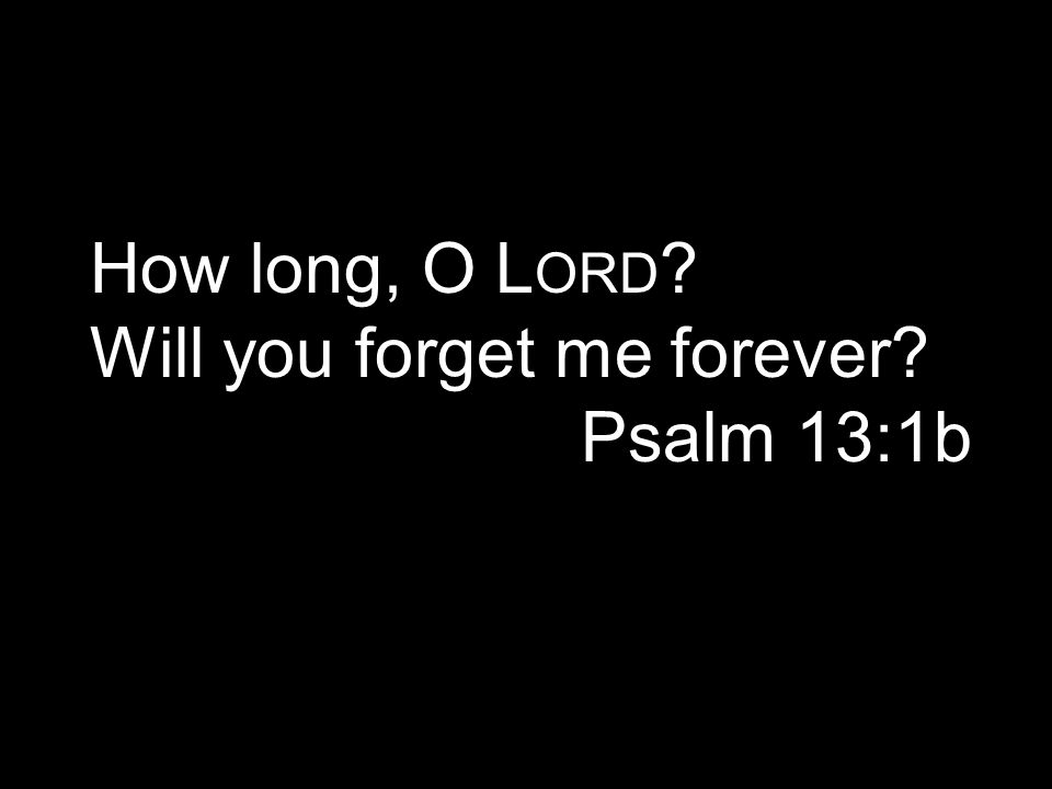How long, O L ORD Will you forget me forever Psalm 13:1b