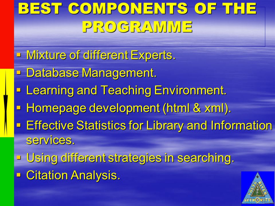 BEST COMPONENTS OF THE PROGRAMME MMMMixture of different Experts.