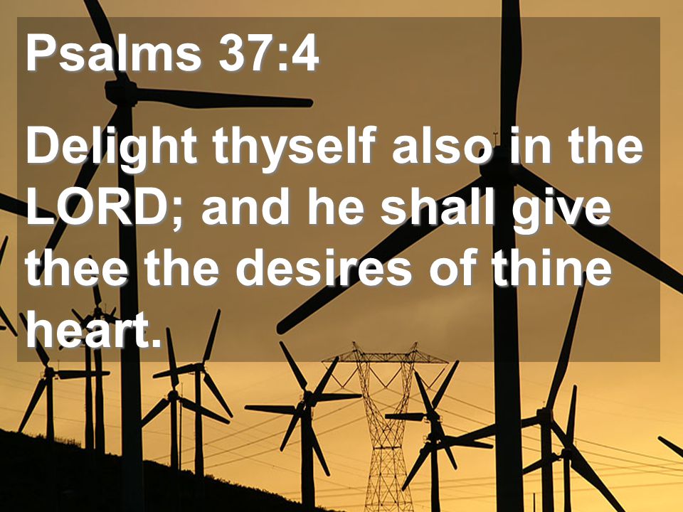Psalms 37:4 Delight thyself also in the LORD; and he shall give thee the desires of thine heart.