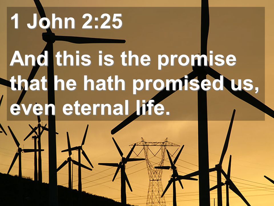 1 John 2:25 And this is the promise that he hath promised us, even eternal life.