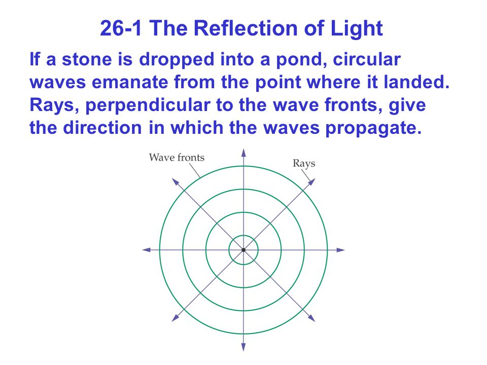 26-1 The Reflection of Light If a stone is dropped into a pond, circular waves emanate from the point where it landed.