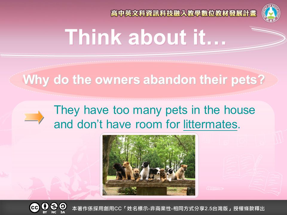 Why do the owners abandon their pets.