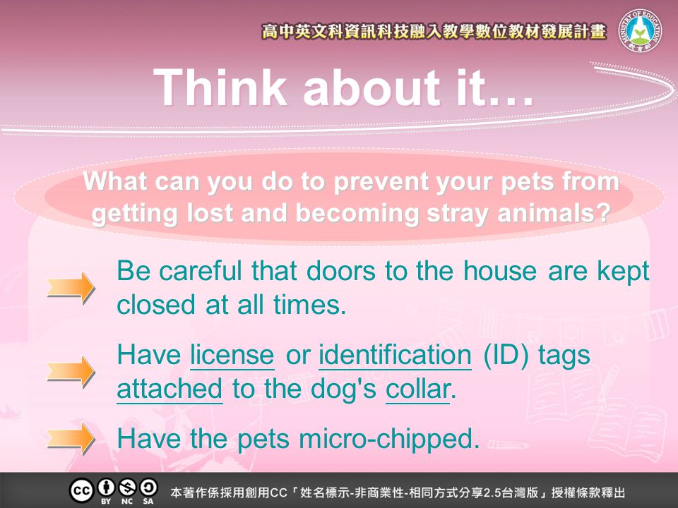 What can you do to prevent your pets from getting lost and becoming stray animals.