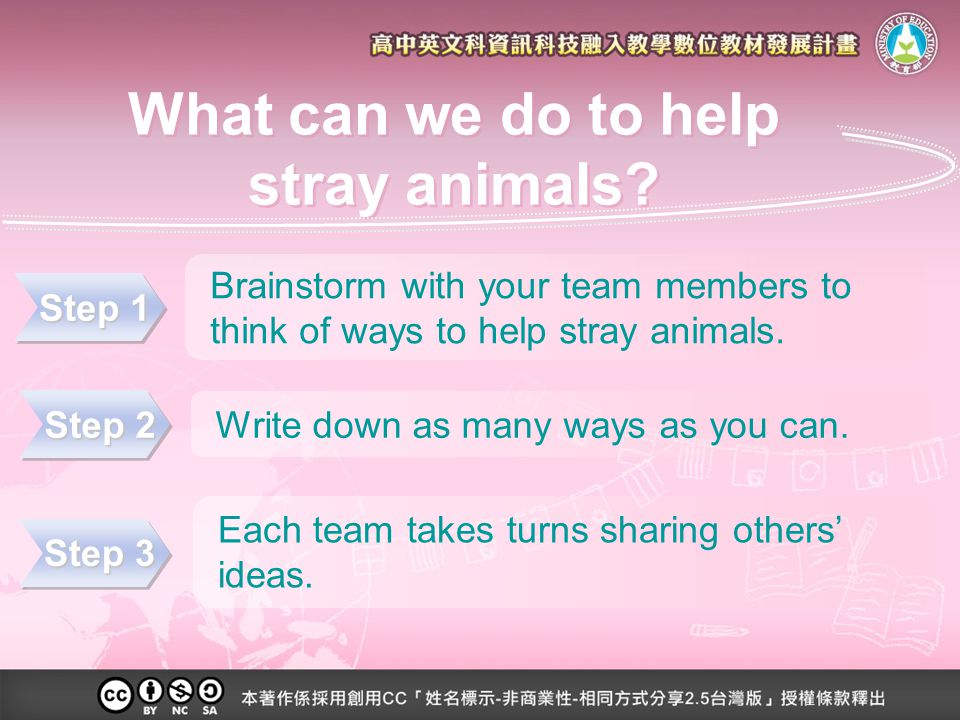 What can we do to help stray animals.