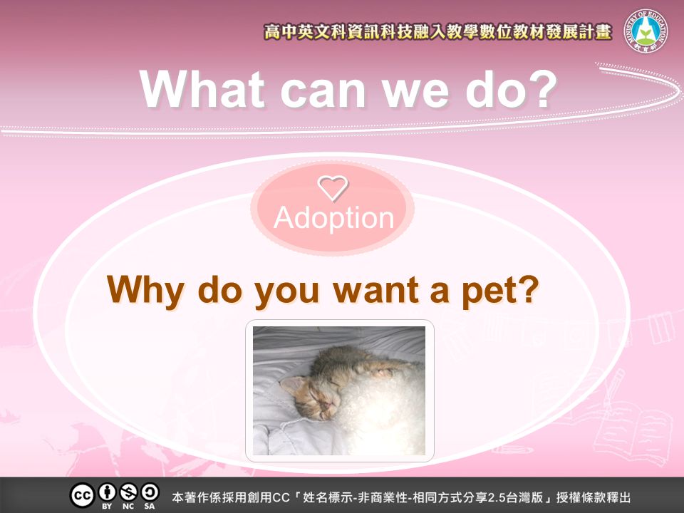 Why do you want a pet Adoption What can we do