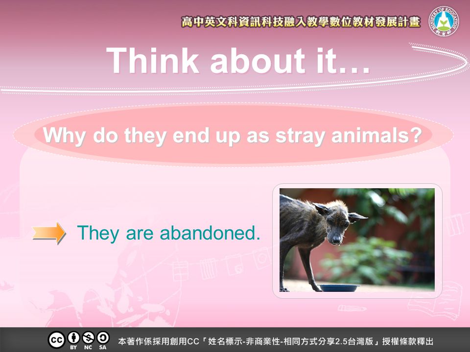 They are abandoned. Why do they end up as stray animals Think about it…