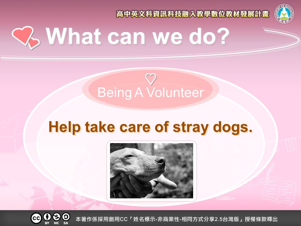 Help take care of stray dogs. What can we do Being A Volunteer
