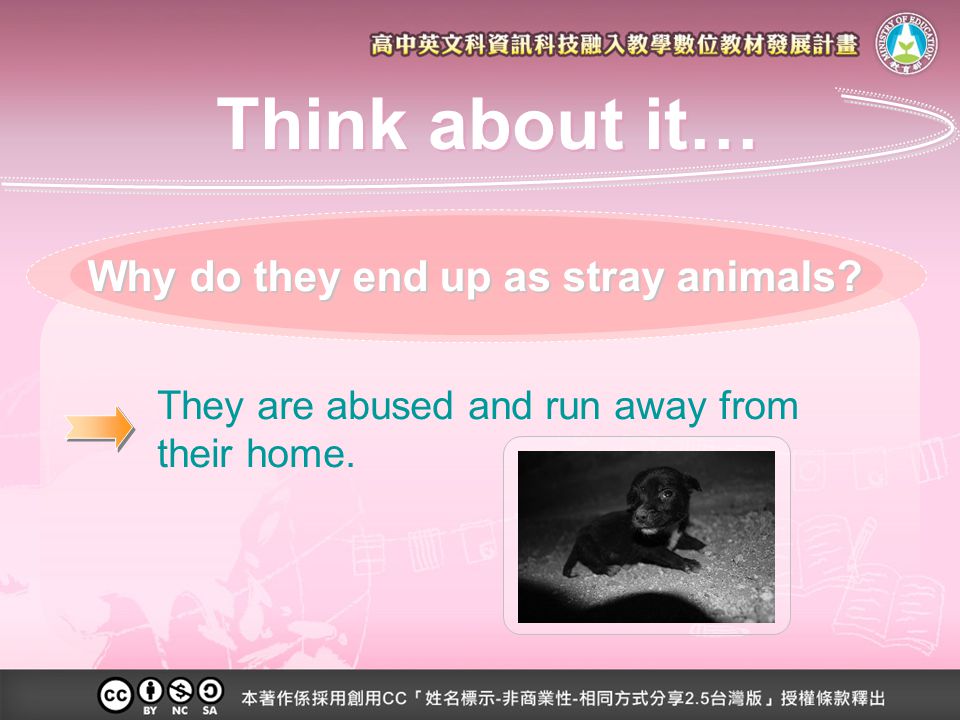 They are abused and run away from their home. Why do they end up as stray animals Think about it…