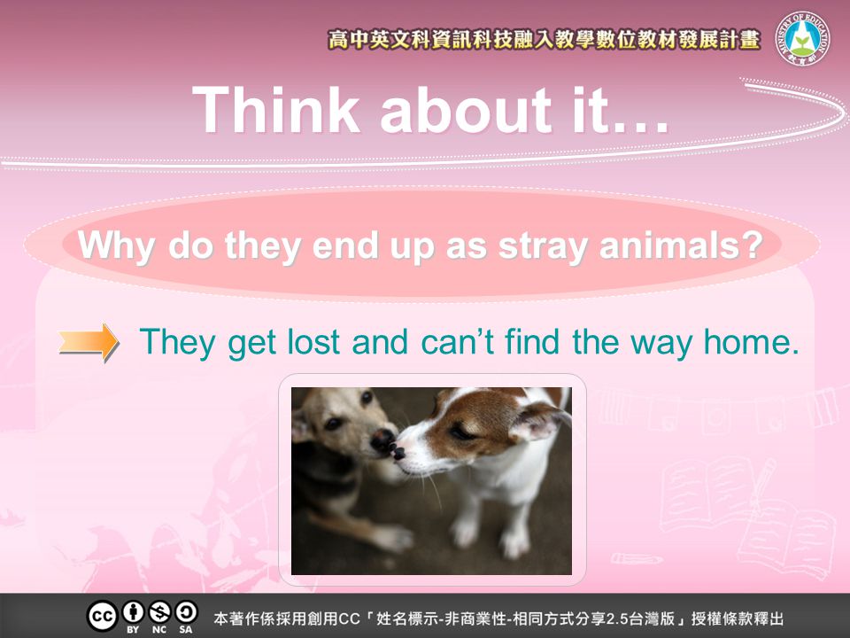They get lost and can’t find the way home. Why do they end up as stray animals Think about it…