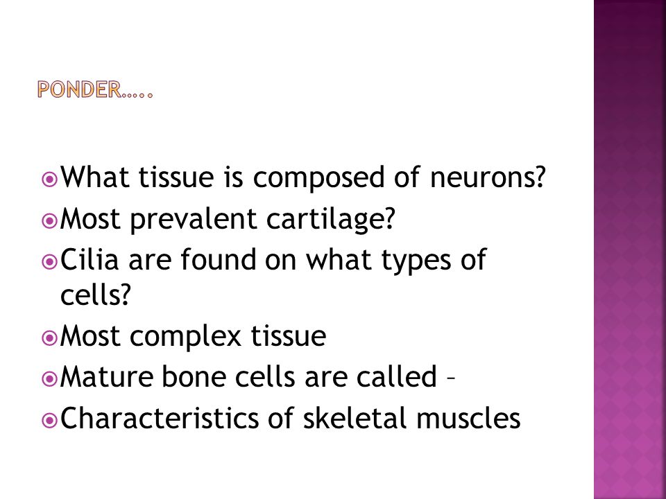  What tissue is composed of neurons.  Most prevalent cartilage.