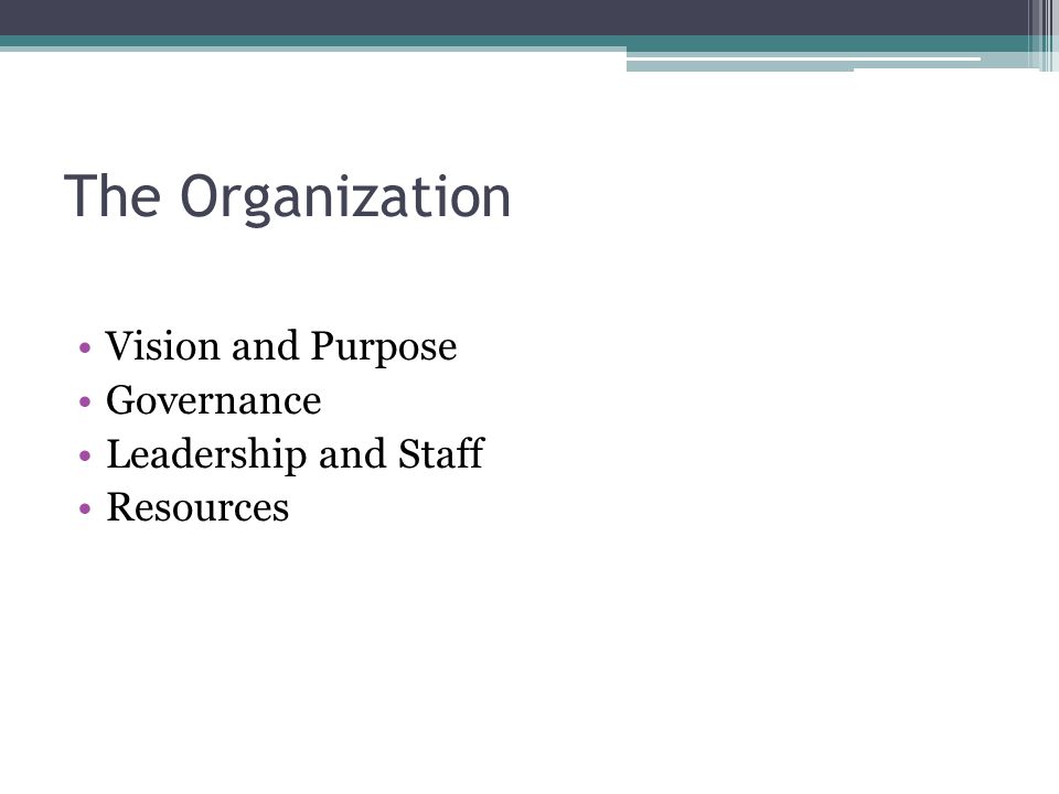 The Organization Vision and Purpose Governance Leadership and Staff Resources