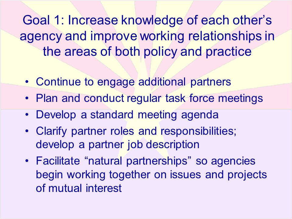 Continue to engage additional partners Plan and conduct regular task force meetings Develop a standard meeting agenda Clarify partner roles and responsibilities; develop a partner job description Facilitate natural partnerships so agencies begin working together on issues and projects of mutual interest