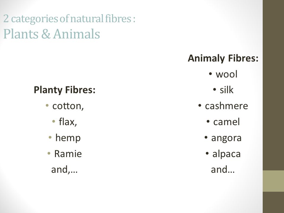 Fibres. Two Kinds Natural fibres that come from nature- plants and animals  (although they are usually cultivated) Man-made (synthetic) fibres made  from. - ppt download