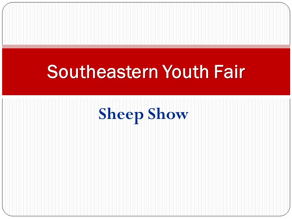 Sheep Show Southeastern Youth Fair
