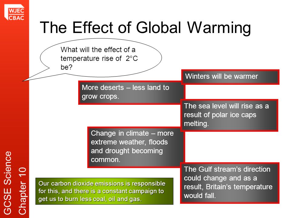 The Effect of Global Warming What will the effect of a temperature rise of 2°C be.