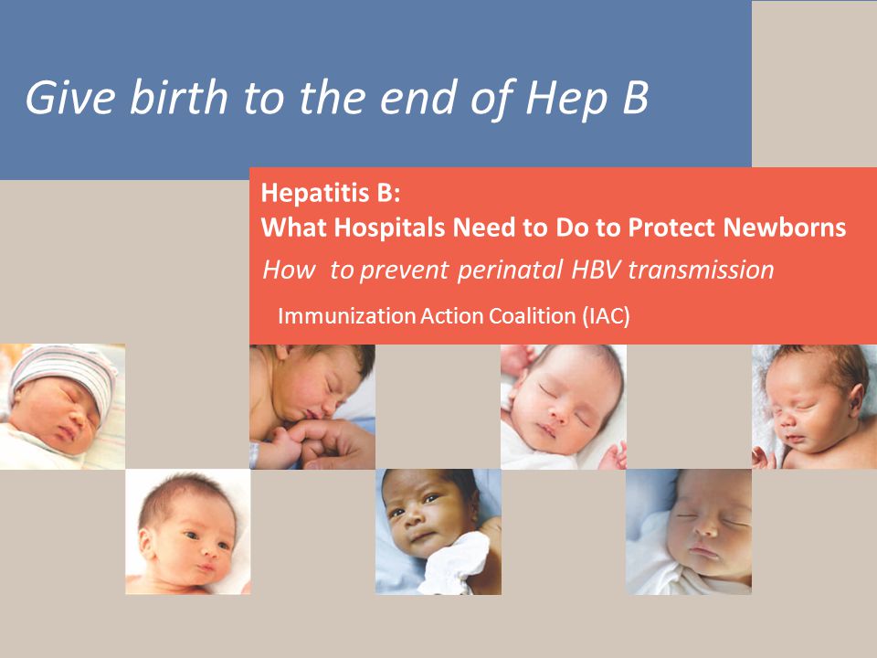 Give birth to the end of Hep B Hepatitis B What Hospitals Need to Do to Protect Newborns Give birth to the end of Hep B Hepatitis B: What Hospitals Need to Do to Protect Newborns How to prevent perinatal HBV transmission Immunization Action Coalition (IAC)