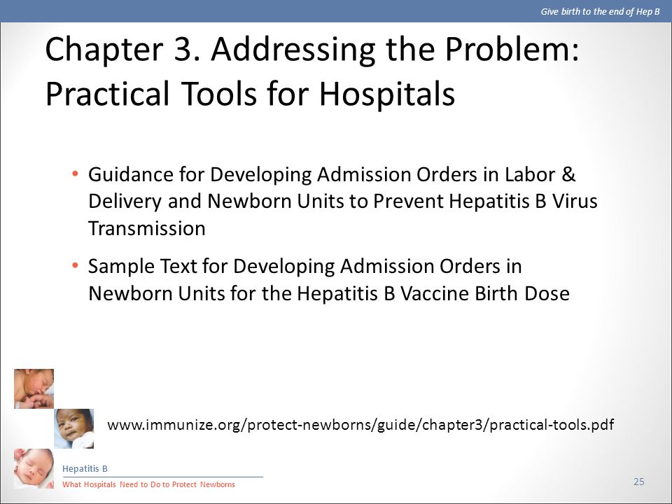 Give birth to the end of Hep B Hepatitis B What Hospitals Need to Do to Protect Newborns 25 Guidance for Developing Admission Orders in Labor & Delivery and Newborn Units to Prevent Hepatitis B Virus Transmission Sample Text for Developing Admission Orders in Newborn Units for the Hepatitis B Vaccine Birth Dose Chapter 3.