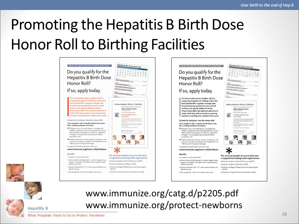 Give birth to the end of Hep B Hepatitis B What Hospitals Need to Do to Protect Newborns Promoting the Hepatitis B Birth Dose Honor Roll to Birthing Facilities