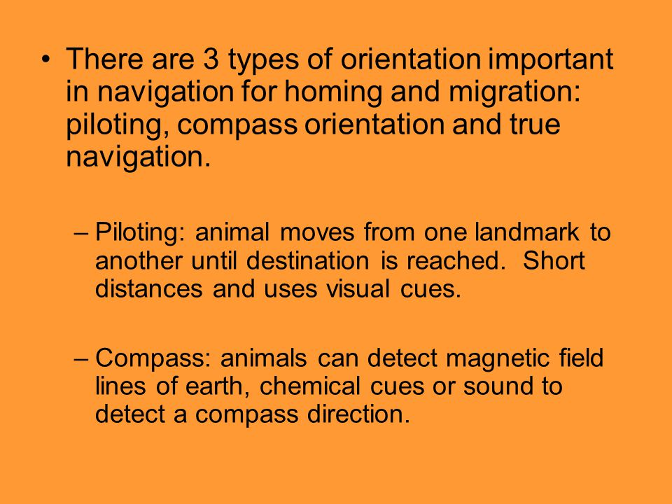 Animal responses to the abiotic environment. Biological orientation  responses Behaviour by which animal positions self in relation to  surroundings Taxes. - ppt download
