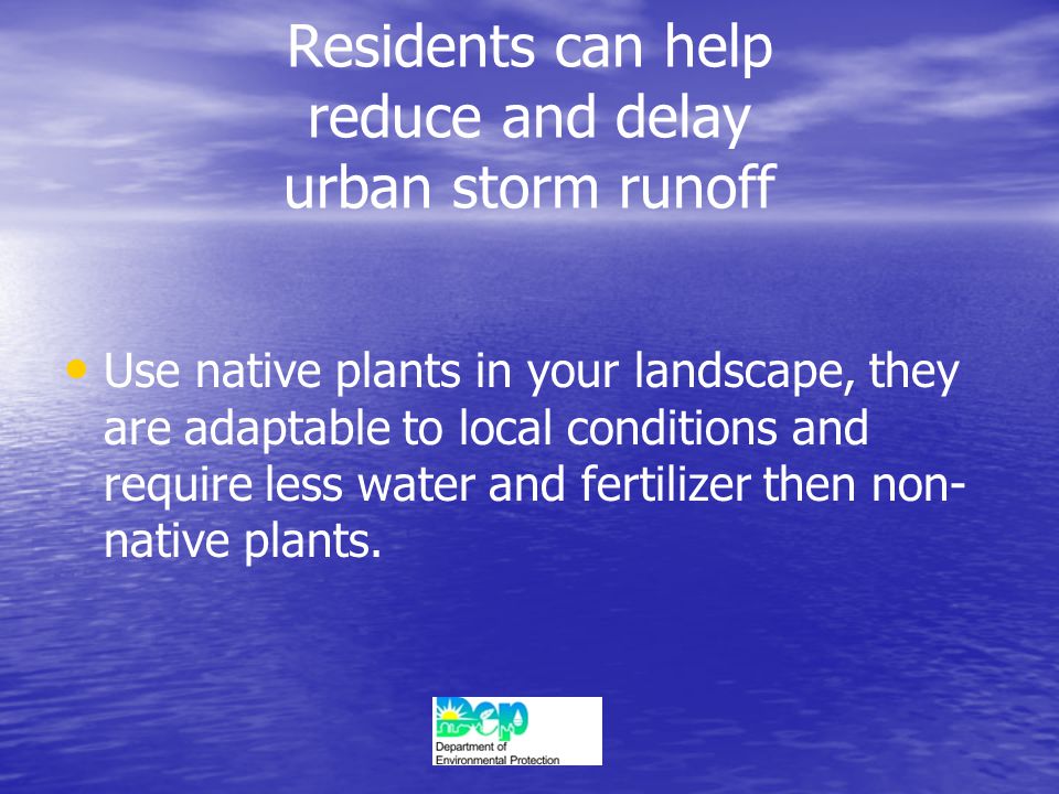 Residents can help reduce and delay urban storm runoff Use native plants in your landscape, they are adaptable to local conditions and require less water and fertilizer then non- native plants.