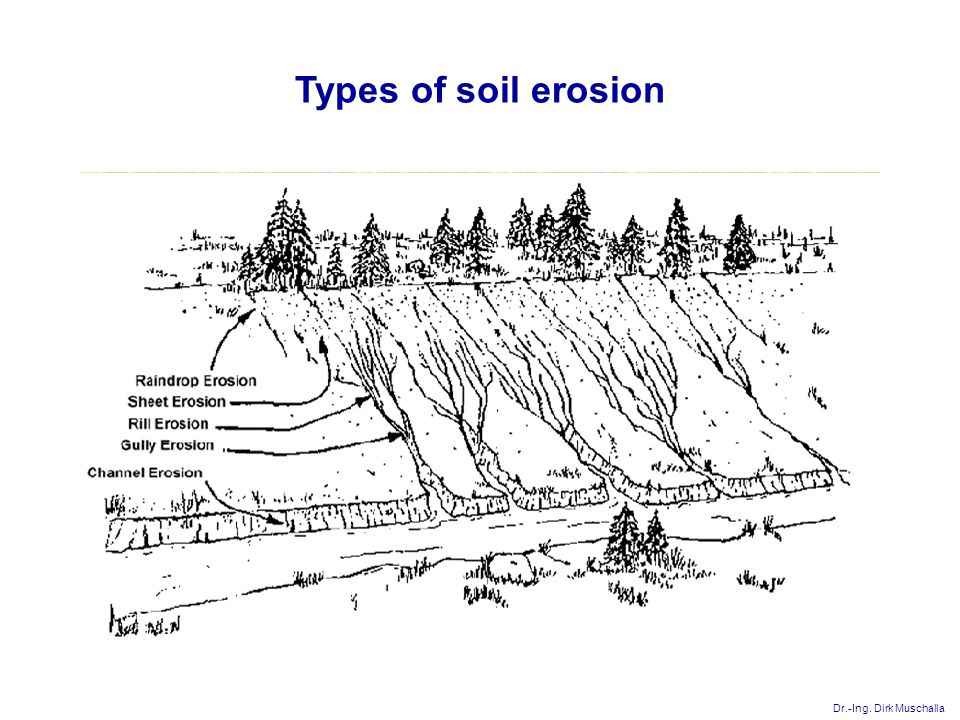 Dr.-Ing. Dirk Muschalla Types of soil erosion