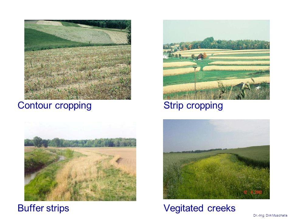 Dr.-Ing. Dirk Muschalla Contour croppingStrip cropping Buffer stripsVegitated creeks