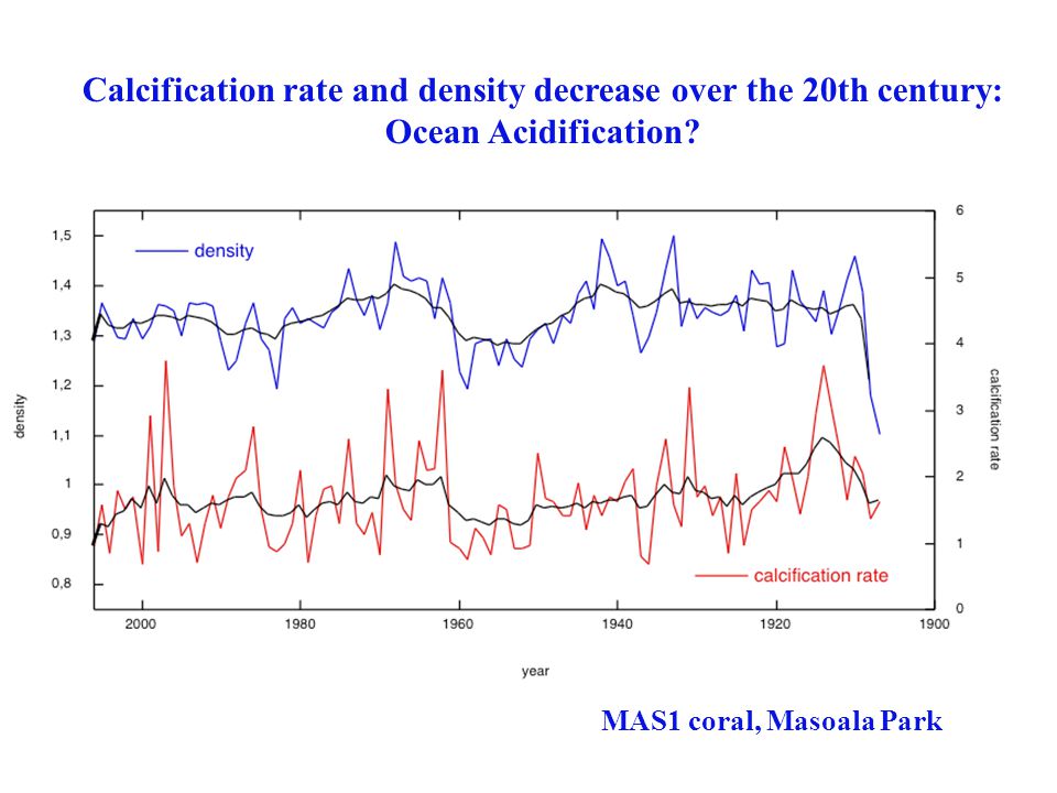 Calcification rate and density decrease over the 20th century: Ocean Acidification.