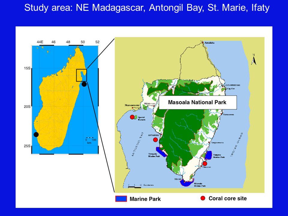 Study area: NE Madagascar, Antongil Bay, St. Marie, Ifaty