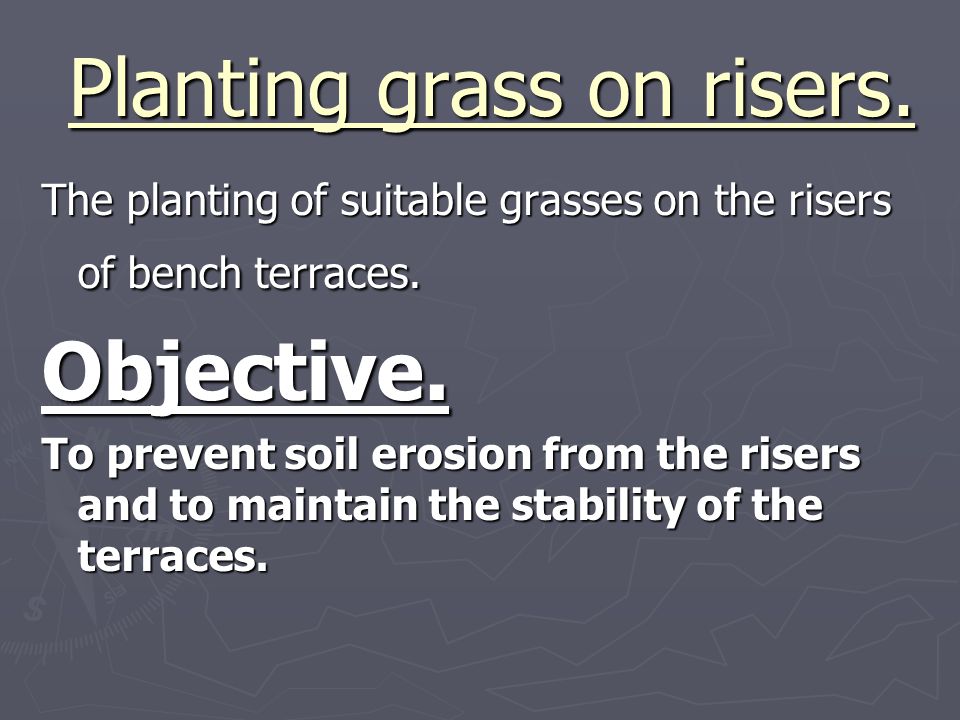 Planting grass on risers. Planting grass on risers.