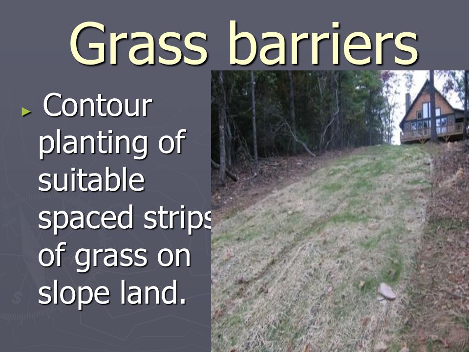 Grass barriers Grass barriers ► Contour planting of suitable spaced strips of grass on slope land.