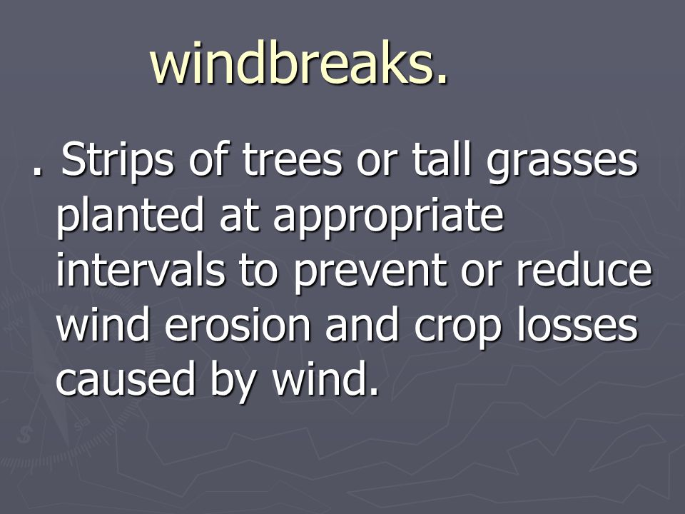 windbreaks..