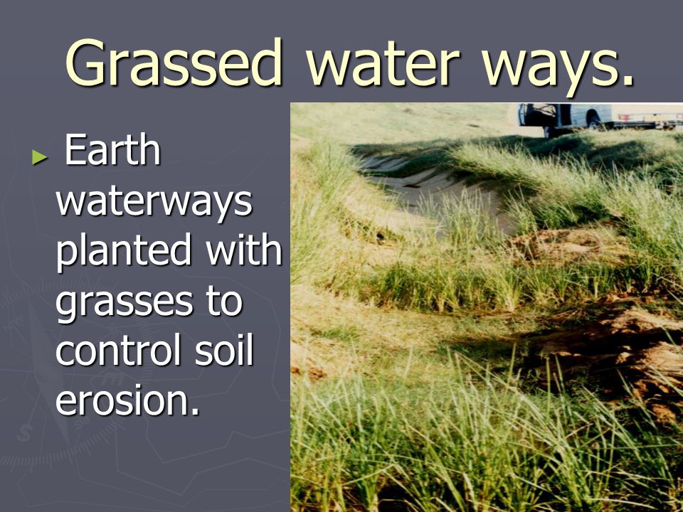 Grassed water ways. Grassed water ways.