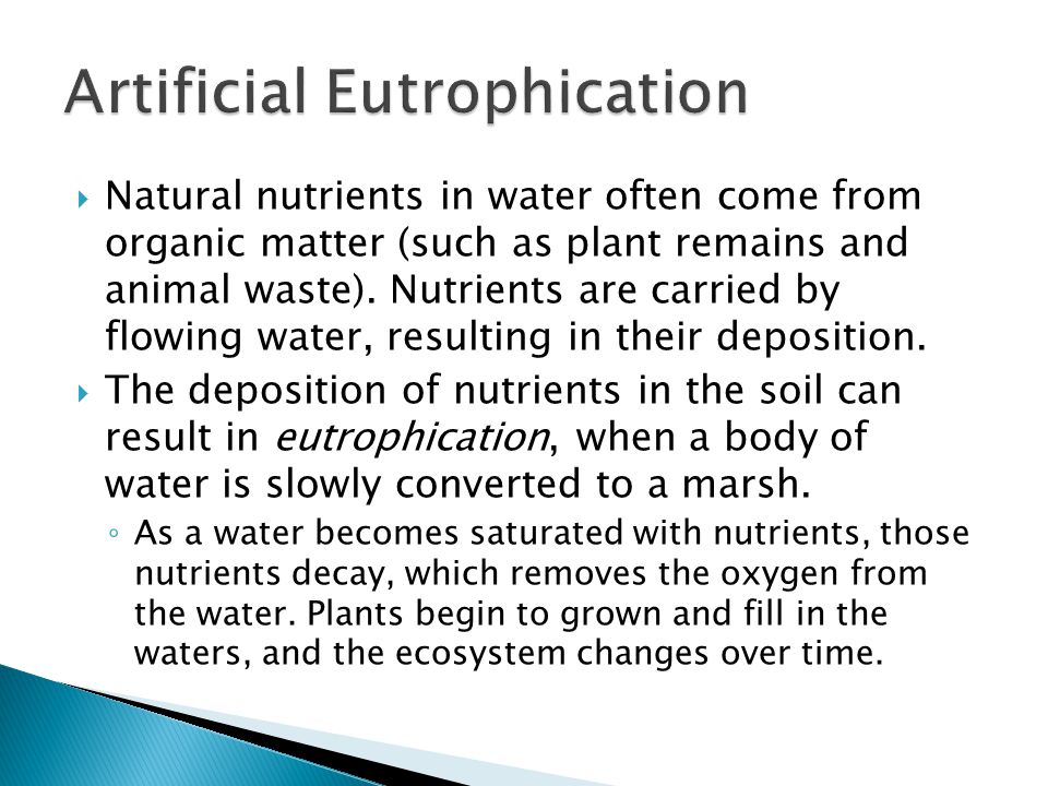  Natural nutrients in water often come from organic matter (such as plant remains and animal waste).