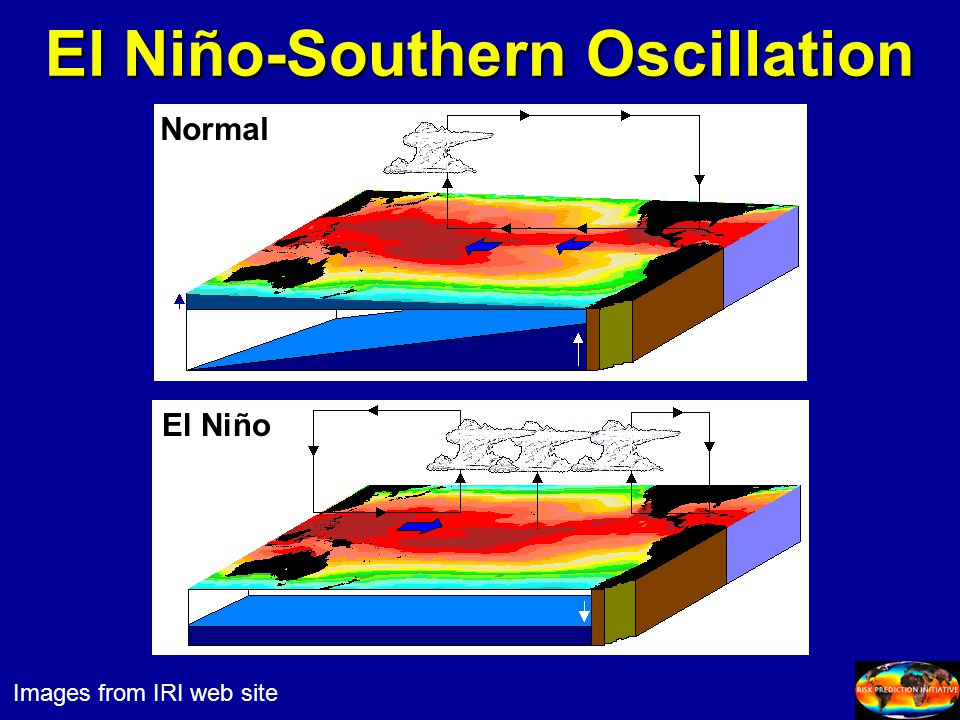 El Niño-Southern Oscillation Images from IRI web site Normal El Niño