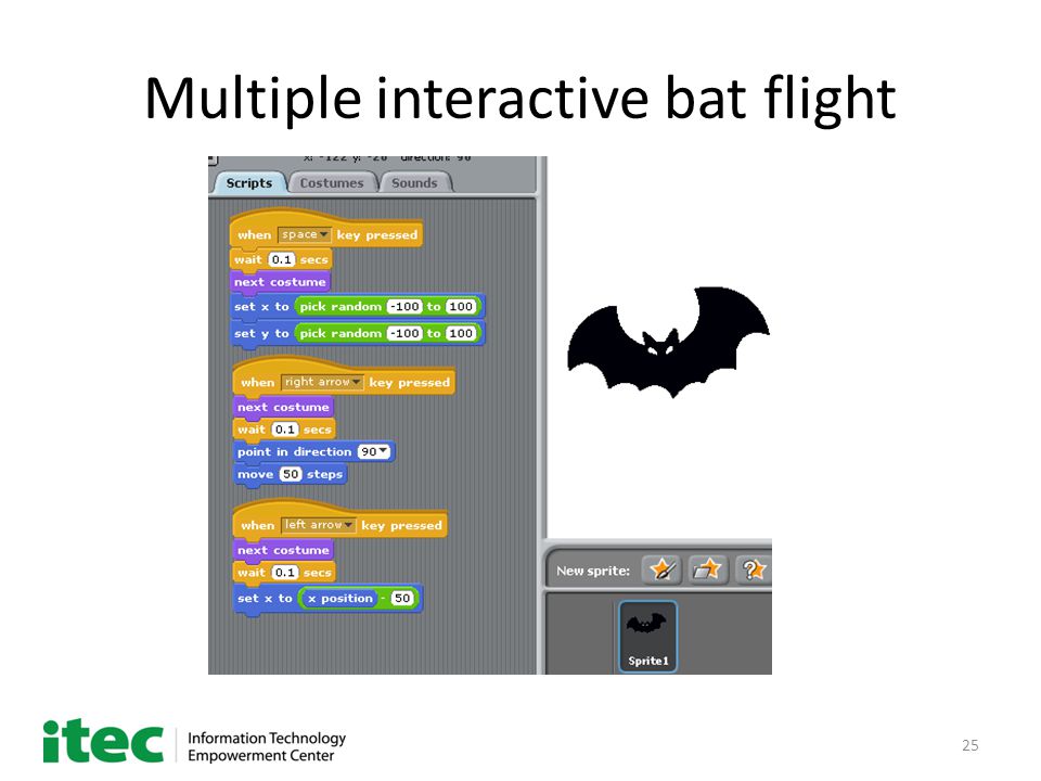 25 Multiple interactive bat flight