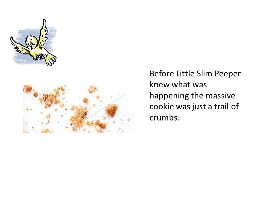 Before Little Slim Peeper knew what was happening the massive cookie was just a trail of crumbs.