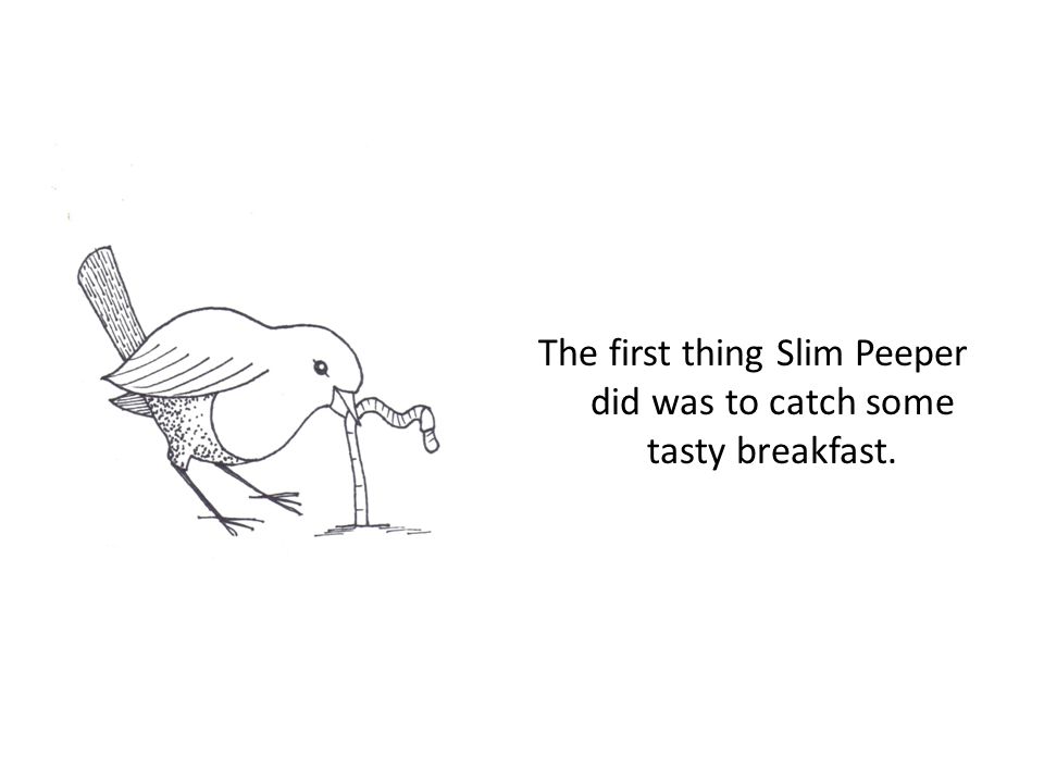 The first thing Slim Peeper did was to catch some tasty breakfast.