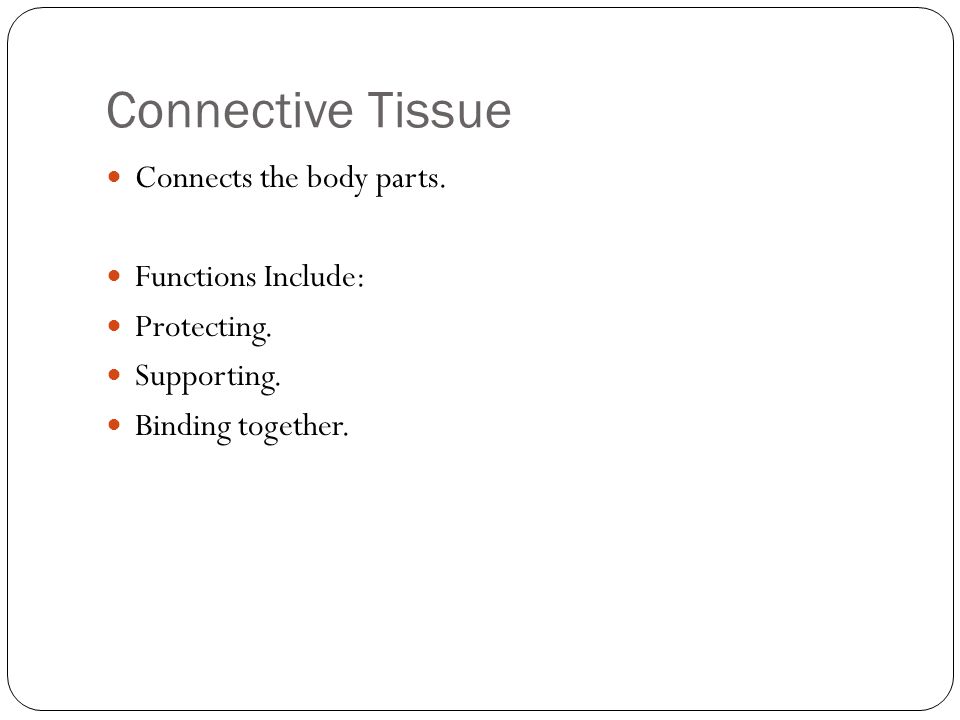 A Closer Look Tissues of the human body. Epithelial Tissues The lining ...