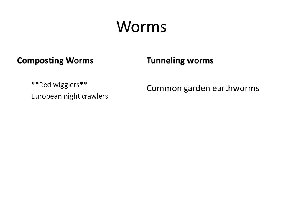 Worms Composting Worms **Red wigglers** European night crawlers Tunneling worms Common garden earthworms