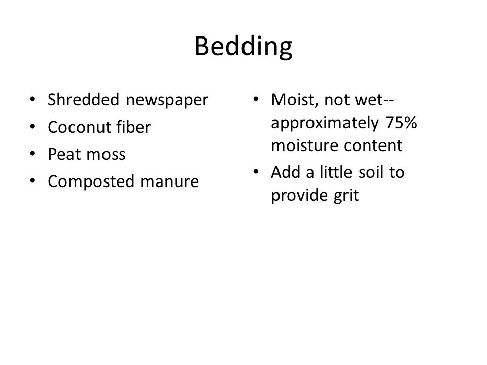 Bedding Shredded newspaper Coconut fiber Peat moss Composted manure Moist, not wet-- approximately 75% moisture content Add a little soil to provide grit
