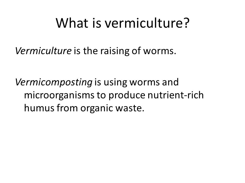 What is vermiculture. Vermiculture is the raising of worms.