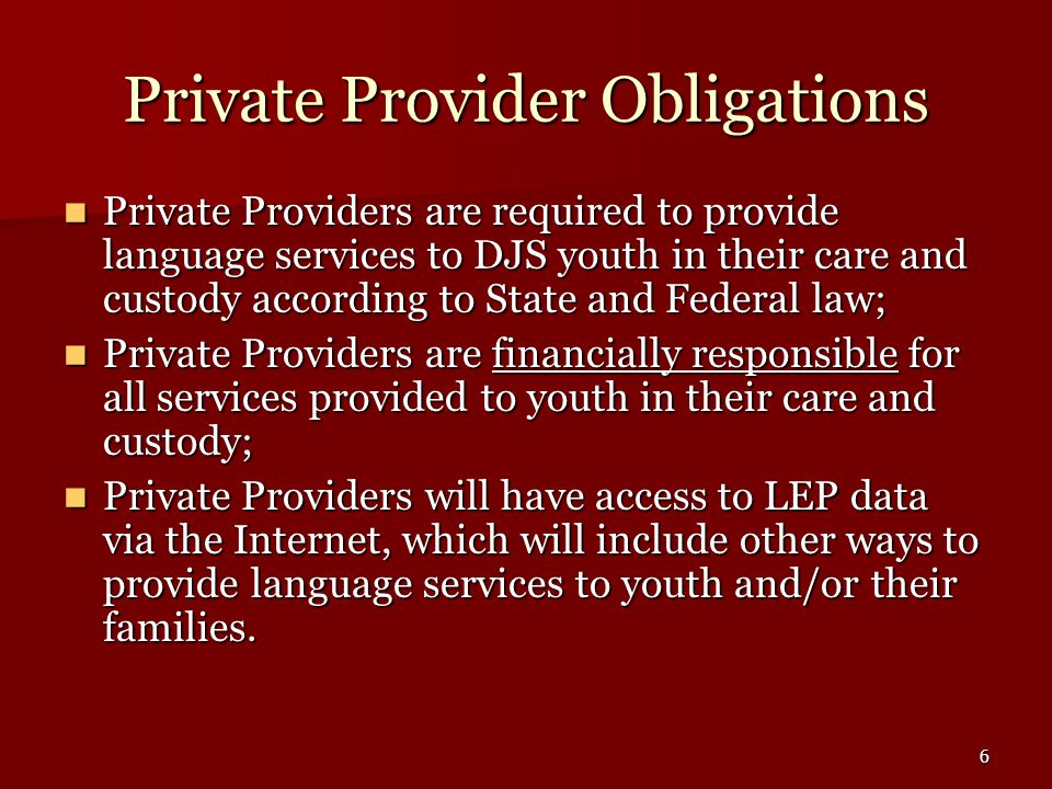6 Private Provider Obligations Private Providers are required to provide language services to DJS youth in their care and custody according to State and Federal law; Private Providers are required to provide language services to DJS youth in their care and custody according to State and Federal law; Private Providers are financially responsible for all services provided to youth in their care and custody; Private Providers are financially responsible for all services provided to youth in their care and custody; Private Providers will have access to LEP data via the Internet, which will include other ways to provide language services to youth and/or their families.
