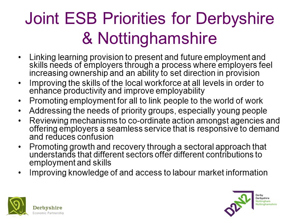 Joint ESB Priorities for Derbyshire & Nottinghamshire Linking learning provision to present and future employment and skills needs of employers through a process where employers feel increasing ownership and an ability to set direction in provision Improving the skills of the local workforce at all levels in order to enhance productivity and improve employability Promoting employment for all to link people to the world of work Addressing the needs of priority groups, especially young people Reviewing mechanisms to co-ordinate action amongst agencies and offering employers a seamless service that is responsive to demand and reduces confusion Promoting growth and recovery through a sectoral approach that understands that different sectors offer different contributions to employment and skills Improving knowledge of and access to labour market information